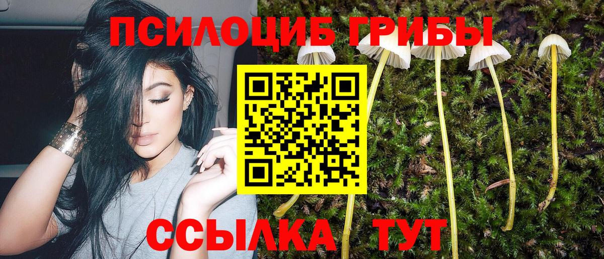 Казань  Галлюциногенные грибы прущие грибы  Вход с VPN 