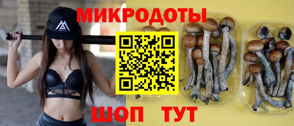 Псилоцибиновые грибы MAGIC MUSHROOMS Казань